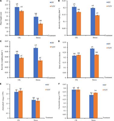 Metabolic and Physiological Changes in the Roots of Two Oat Cultivars in Response to Complex Saline-Alkali Stress